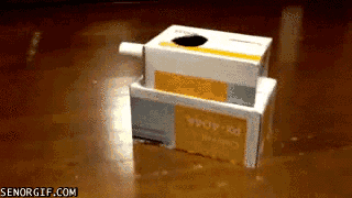 funny-gifs-tank-cat