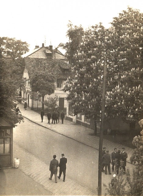 сканирование0013Зелик