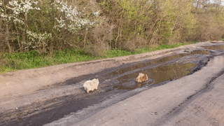 20220425_183346 (1) (1)