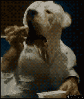 Big-dog-head-eating