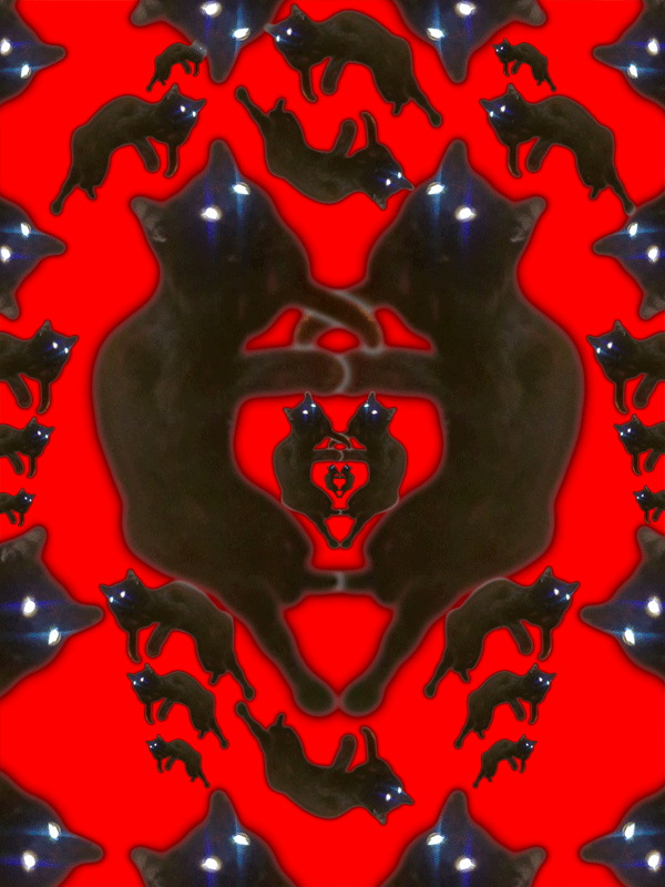 29112011031