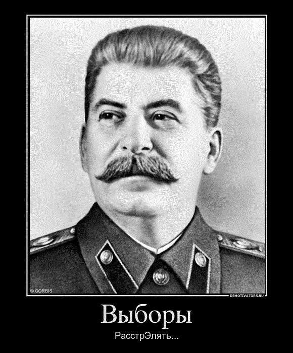 223667_vyiboryi