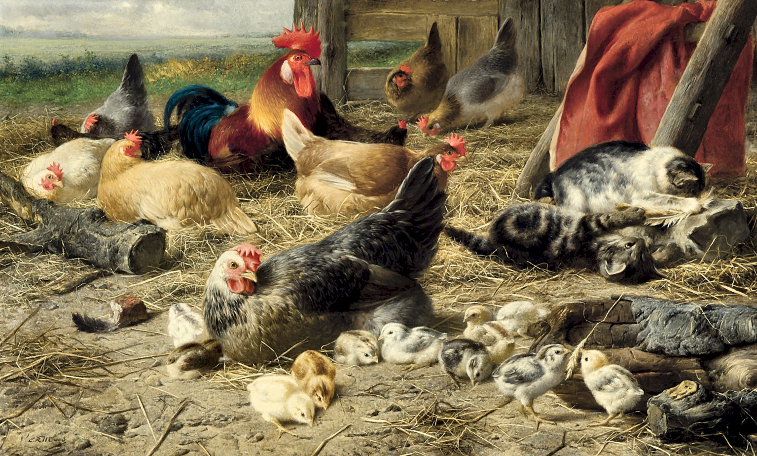 24181714973_837d0f171e_o