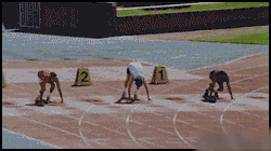 Race