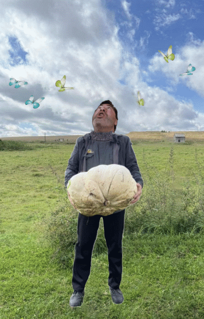 капустницы