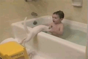 5-Cat in the bath tub