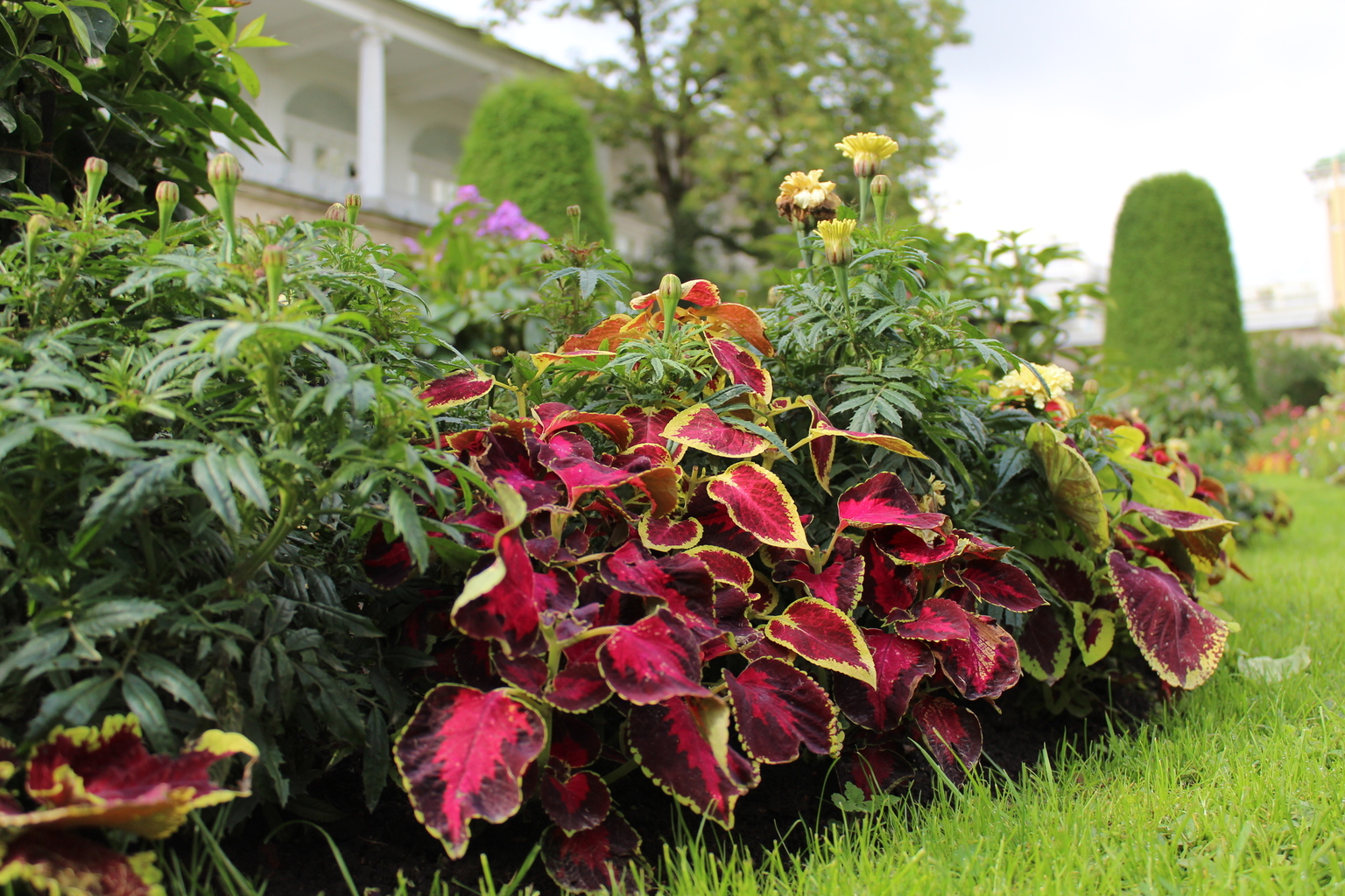 5ad85bdca89fc8d2cb2508fb844f66d8