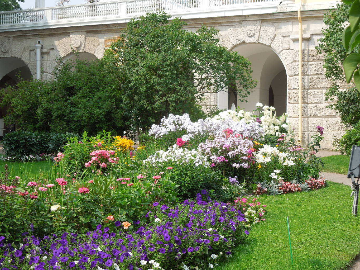 d3bd38a9b8823407dfedf23f950636c3