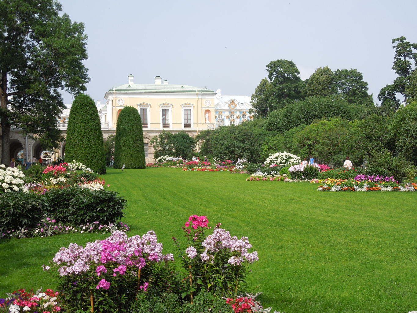 0a35dee645d5d4a781e412c615c0a74f