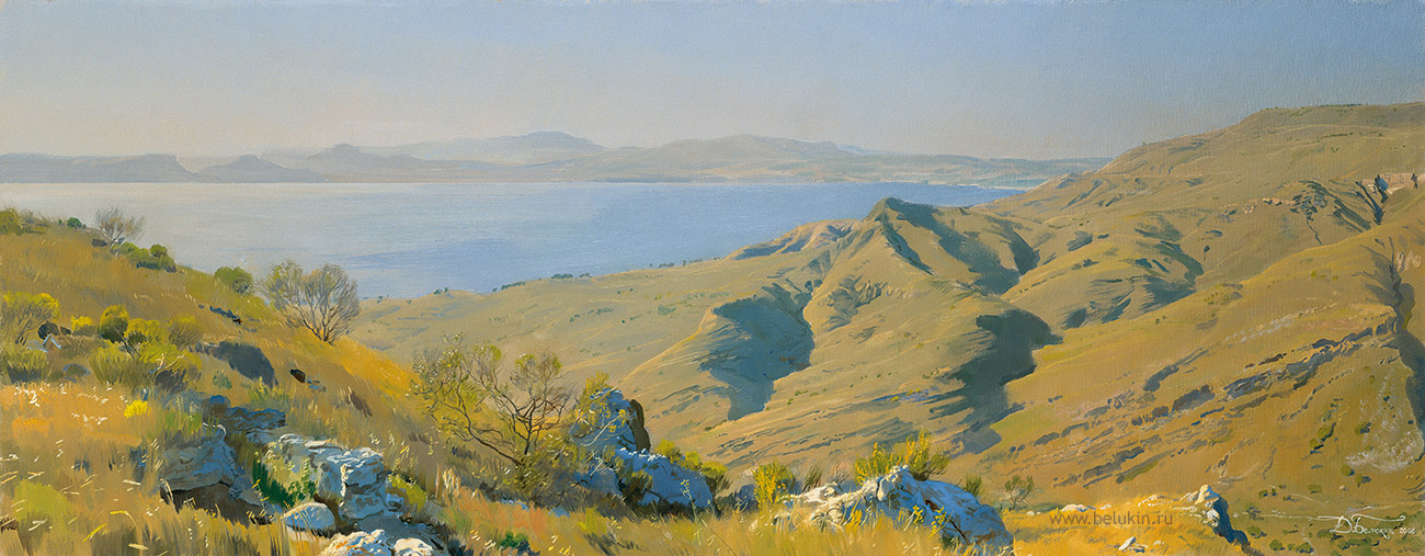 Дмитрий Белюкин