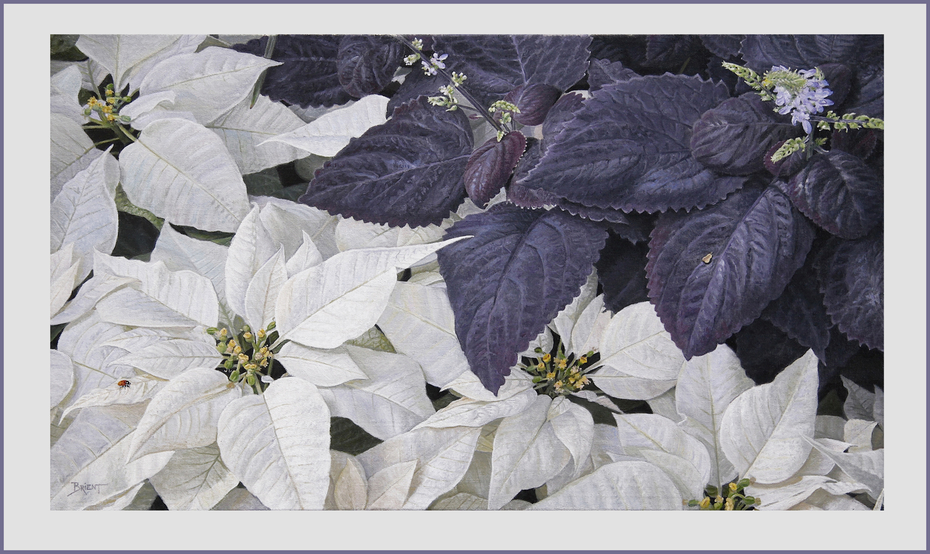 harmony-in-white-and-purple-daniel-brient-2013-945e3d06