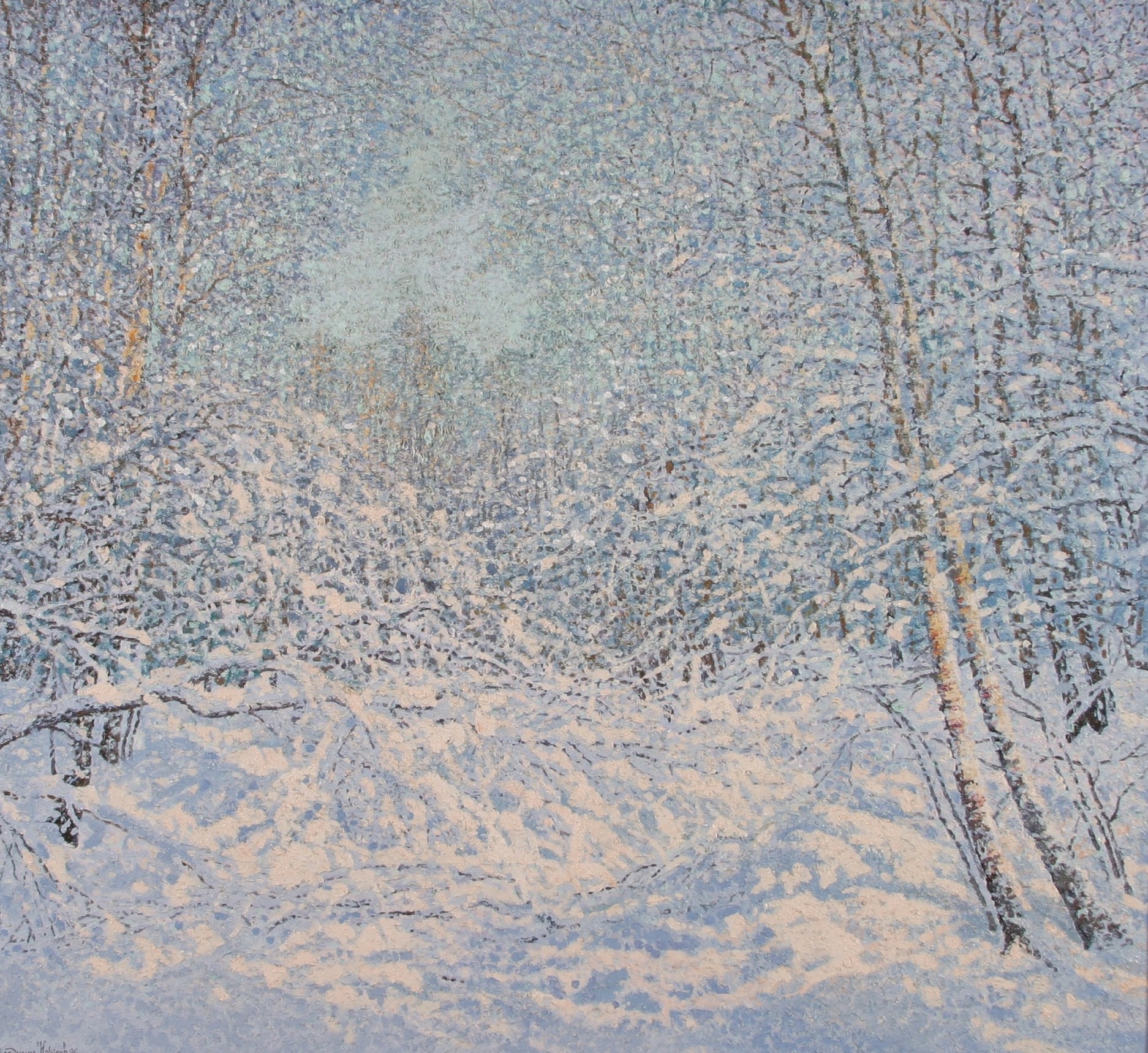 -�����-��-�����-�-�������