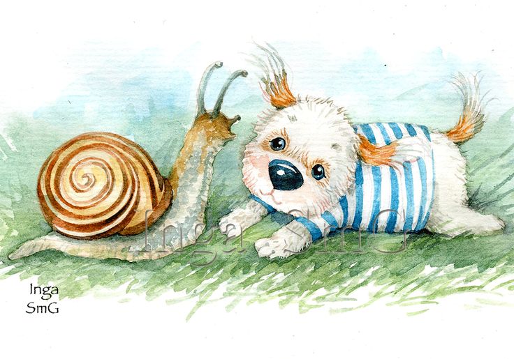 772ef2486cfe74fcbc3a157992412db4