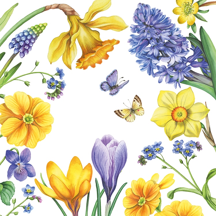 Q_Fruehlingskarte-blau-gelb_2_E-1