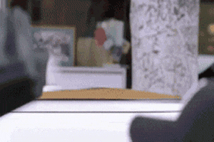 1250182120_fittycentcatstare_contest