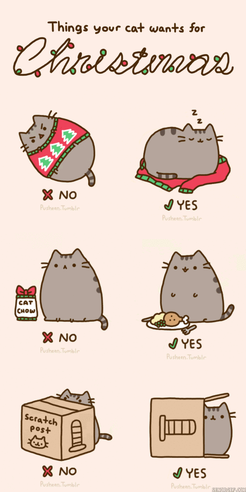 Чего хочет котэ?