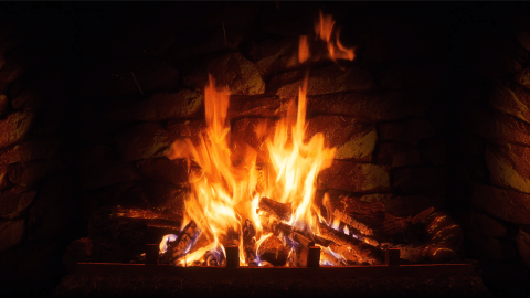 1547216813_rulez-t_info-2019-01-10-20-17-27