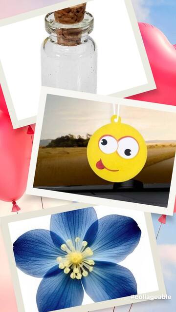 photo_2025-02-10_16-21-41 (2)