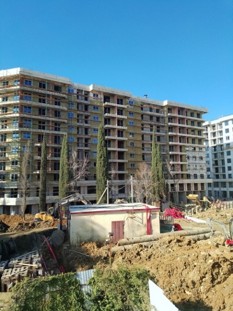 IMG_20250212_114519 (4)