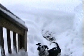вездеход