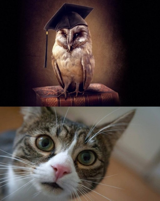 и его Девушка