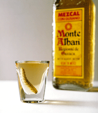 mezcal_y_gusano_68465_big