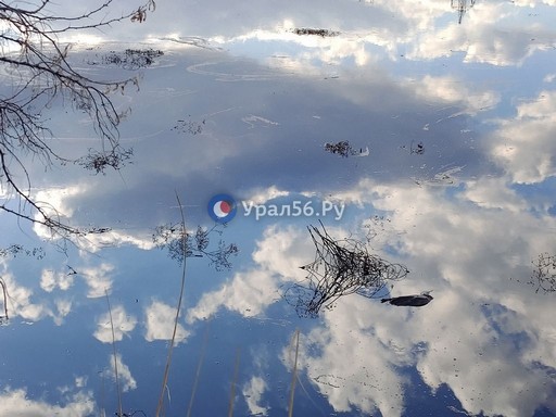 photo_2025-04-11_08-40-15