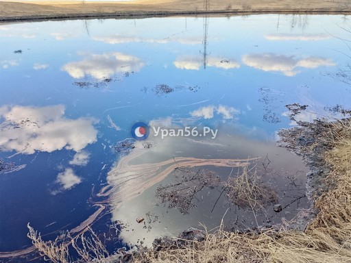 photo_2025-04-11_08-40-29