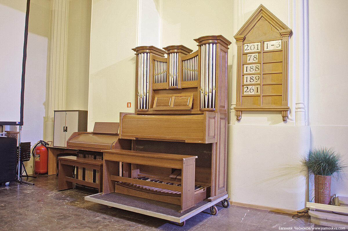 scale_1200 (11)