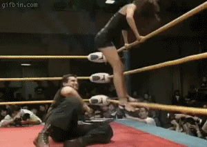 Wrestling_3fa1b1_1735509