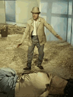 222489056_e22abebf7eced23da9619b2550b5017f_800