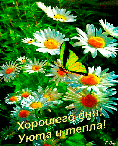 morning-wish-positive-mood-animation-drinks