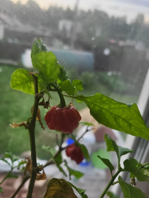 1898187a-7d22-4f55-93d8-89b15ccb2128