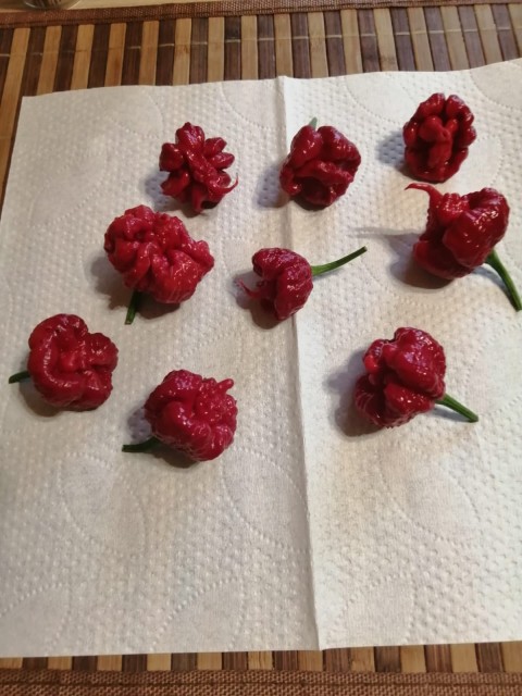 b68daf69-108b-4fe8-a07d-9cfd16befbde