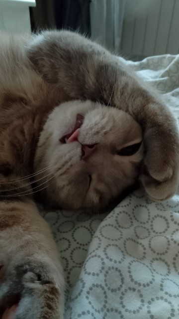 IMG_20250710_202524-21