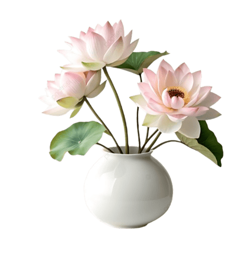 _12-07-2025_024850-removebg-preview (1)