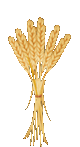 125-1251150_common-wheat-ear-clip-art-common-wheat-ear-clip-art