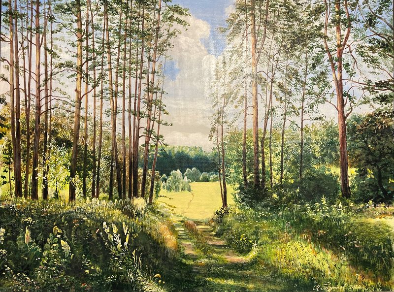 opushka-lesa-v-solnechnyj-den