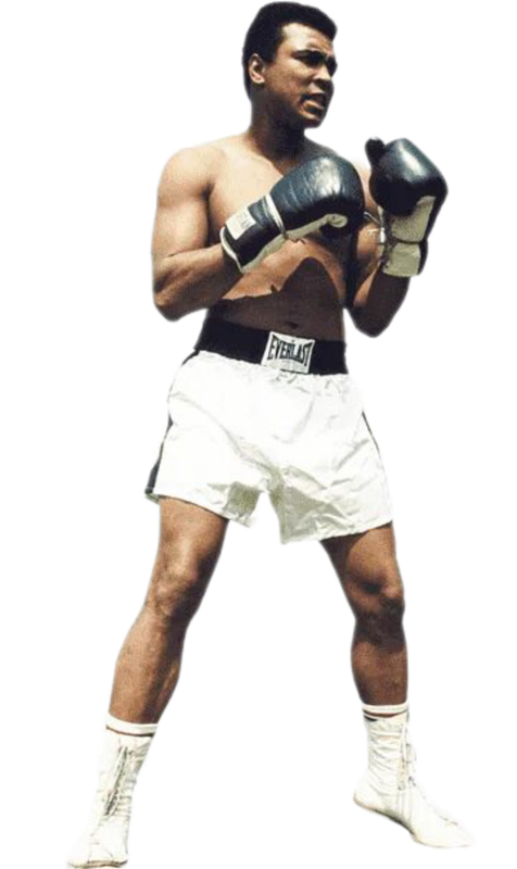 Polish-20250224-151137125