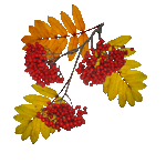 163155946_4138752_163061950_21_yapfilesru