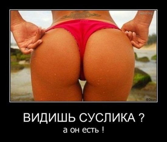 x_d0daad6d