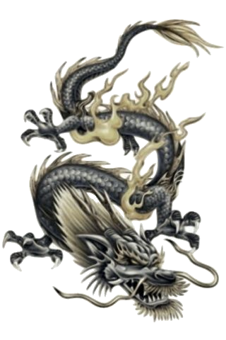 Chinese_Dragon