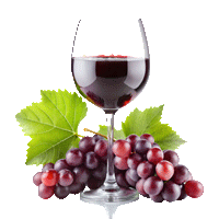 pngtree-red-wine-glass-with-grapes-png-image_13837630-Плеер