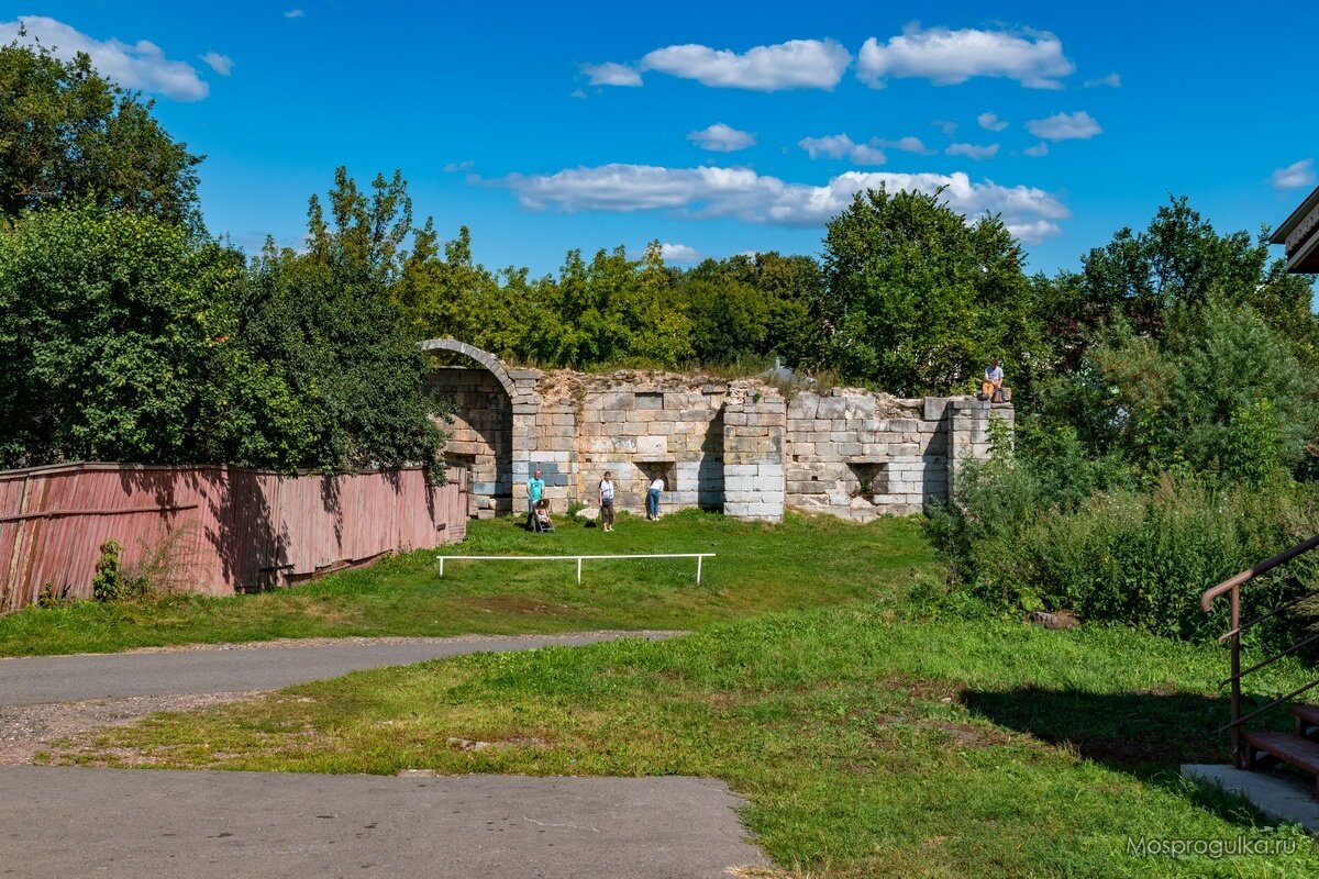 scale_1200 (1)