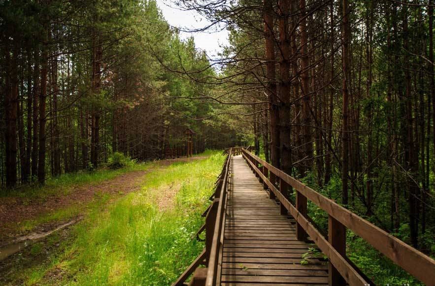 zapovednik