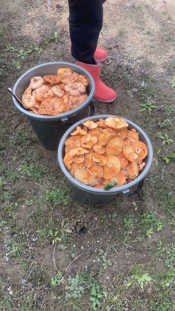 13619c5a-553a-4739-b89a-90c934ad4bad