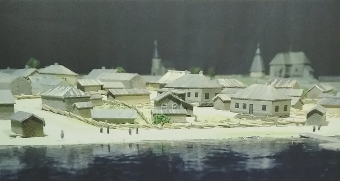 scale_1200 (3)