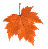 fbe493b597d8c30fe04e54fa1354e567-2