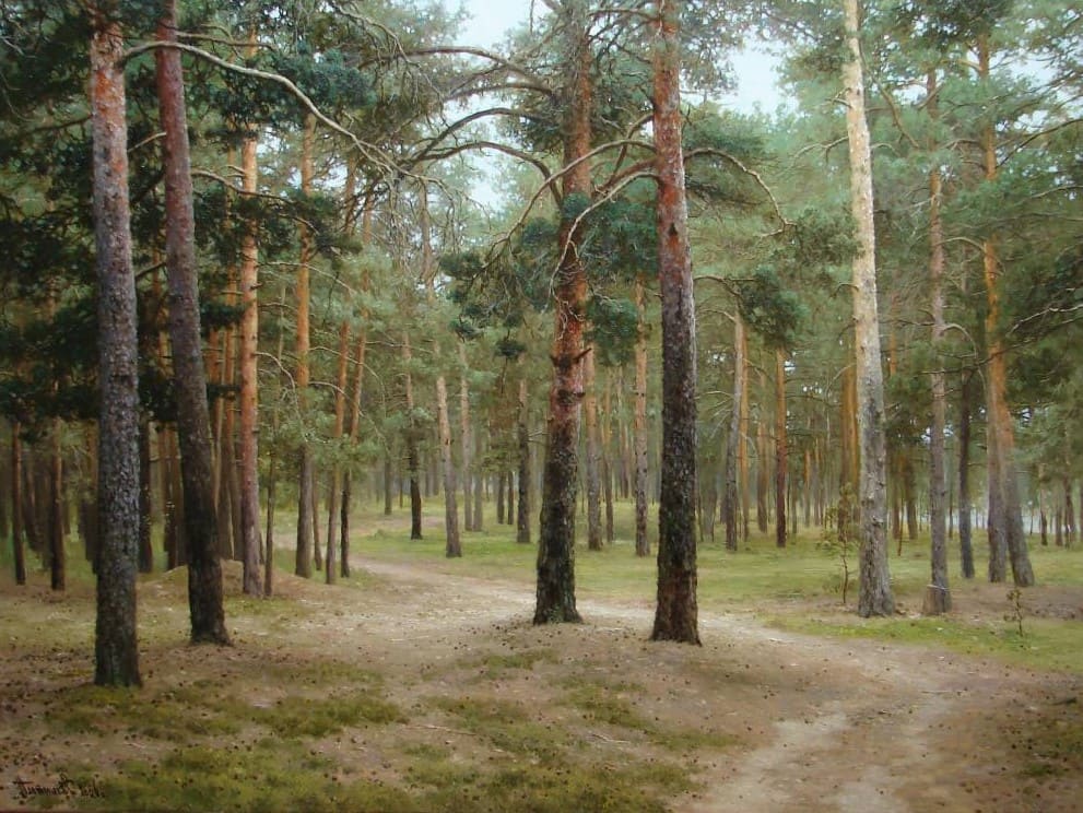 xudozhnik_Vyacheslav_Plotnikov_4