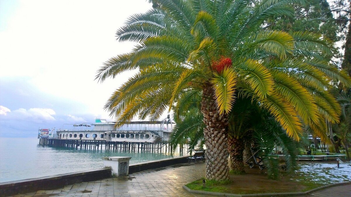 scale_1200 (2)